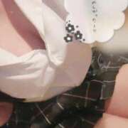 ヒメ日記 2026/07/26 17:41 投稿 ひいろ 21世紀