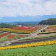 ヒメ日記 2026/09/16 10:41 投稿 ひいろ 21世紀