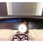 ヒメ日記 2026/02/09 06:45 投稿 ここみ 帯広アニバーサリー