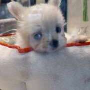 ヒメ日記 2025/08/09 16:43 投稿 きみこ 五反田・品川おかあさん