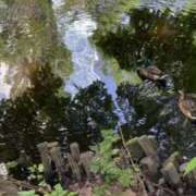 ヒメ日記 2025/08/16 15:43 投稿 きみこ 五反田・品川おかあさん