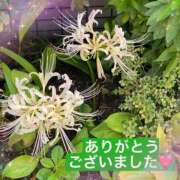 ヒメ日記 2025/10/02 10:33 投稿 きみこ 五反田・品川おかあさん