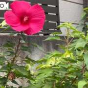 ヒメ日記 2025/10/09 14:53 投稿 きみこ 五反田・品川おかあさん