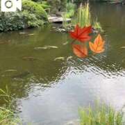 ヒメ日記 2025/10/18 14:53 投稿 きみこ 五反田・品川おかあさん