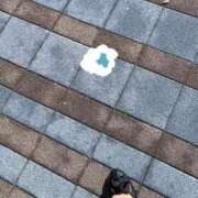 ヒメ日記 2025/11/13 14:43 投稿 きみこ 五反田・品川おかあさん