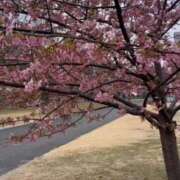 ヒメ日記 2026/02/16 15:23 投稿 きみこ 五反田・品川おかあさん