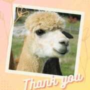 ヒメ日記 2026/03/05 14:23 投稿 きみこ 五反田・品川おかあさん