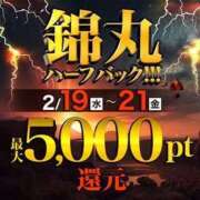 ヒメ日記 2025/02/20 18:50 投稿 琴葉（ことは） 丸妻 錦糸町店