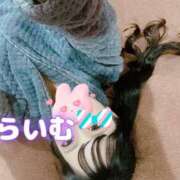 ヒメ日記 2025/03/30 15:00 投稿 ライム OLの品格 クラブアッシュ