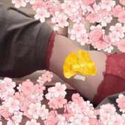 ヒメ日記 2025/04/11 15:00 投稿 ライム OLの品格 クラブアッシュ