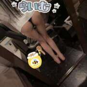 ヒメ日記 2025/04/27 15:00 投稿 ライム OLの品格 クラブアッシュ