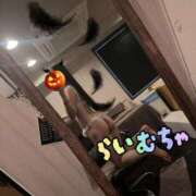 ヒメ日記 2025/10/16 20:02 投稿 ライム OLの品格 クラブアッシュ