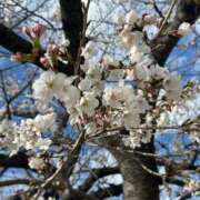 ヒメ日記 2025/04/05 20:32 投稿 真鍋　まつり NADIA大阪店