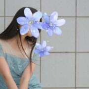 二宮　マリア ♡ 東京ローズマリー