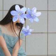 二宮 ♡ ローズマリー大塚