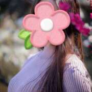 ヒメ日記 2025/12/12 09:14 投稿 二宮 ローズマリー大塚