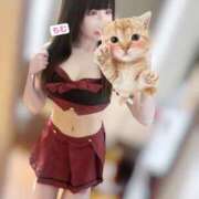 ヒメ日記 2025/04/15 15:32 投稿 天使ちむ AJ DOLLS(エージェイドールズ)