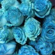 ヒメ日記 2025/06/12 09:03 投稿 天使ちむ AJ DOLLS(エージェイドールズ)