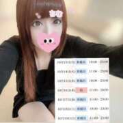 ヒメ日記 2025/10/14 09:52 投稿 天使ちむ AJ DOLLS(エージェイドールズ)