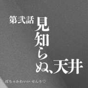 ヒメ日記 2024/11/14 13:19 投稿 せんり ぽちゃカワイイ！