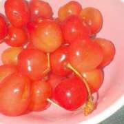 ヒメ日記 2025/07/09 07:45 投稿 さな ナチュラルプリンセス