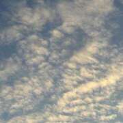 ヒメ日記 2025/07/31 21:44 投稿 さな ナチュラルプリンセス