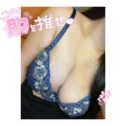 ヒメ日記 2025/03/20 21:48 投稿 ちひろ ちゃんこ大阪伊丹空港豊中店