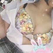 ヒメ日記 2025/04/05 20:17 投稿 ちひろ ちゃんこ大阪伊丹空港豊中店