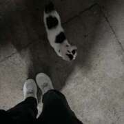 ヒメ日記 2025/08/23 16:36 投稿 ちひろ ちゃんこ大阪伊丹空港豊中店