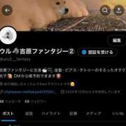 ウル 🙅🏻‍♀️ FANTASY（ファンタジー）