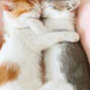 ヒメ日記 2025/01/23 21:58 投稿 つぐみ 成田人妻花壇