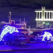 ヒメ日記 2025/01/31 14:40 投稿 つぐみ 成田人妻花壇