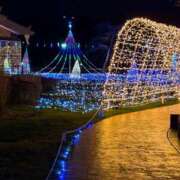 ヒメ日記 2025/02/10 21:56 投稿 つぐみ 成田人妻花壇