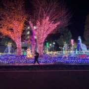 ヒメ日記 2025/02/13 23:37 投稿 つぐみ 成田人妻花壇