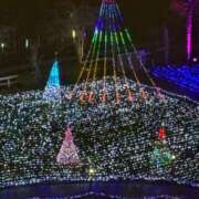 ヒメ日記 2025/02/15 17:48 投稿 つぐみ 成田人妻花壇