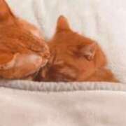 ヒメ日記 2025/02/22 12:24 投稿 つぐみ 成田人妻花壇