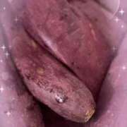 ヒメ日記 2025/02/28 14:27 投稿 つぐみ 成田人妻花壇