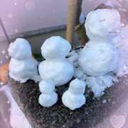 ヒメ日記 2025/03/09 00:23 投稿 つぐみ 成田人妻花壇