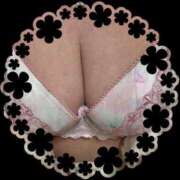 ヒメ日記 2025/03/09 08:37 投稿 つぐみ 成田人妻花壇