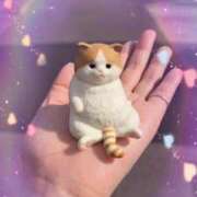 ヒメ日記 2025/03/16 17:23 投稿 つぐみ 成田人妻花壇