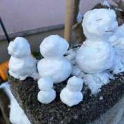 ヒメ日記 2025/03/19 19:41 投稿 つぐみ 成田人妻花壇