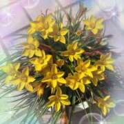 ヒメ日記 2025/03/25 10:54 投稿 つぐみ 成田人妻花壇