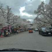 ヒメ日記 2025/03/31 13:01 投稿 つぐみ 成田人妻花壇