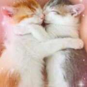 ヒメ日記 2025/04/07 00:01 投稿 つぐみ 成田人妻花壇