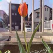 ヒメ日記 2025/04/12 08:22 投稿 つぐみ 成田人妻花壇