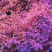 ヒメ日記 2025/04/13 23:35 投稿 つぐみ 成田人妻花壇