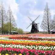 ヒメ日記 2025/04/14 15:30 投稿 つぐみ 成田人妻花壇