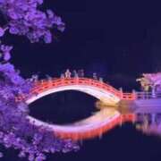 ヒメ日記 2025/04/18 00:59 投稿 つぐみ 成田人妻花壇