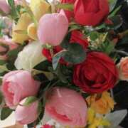 ヒメ日記 2025/04/26 19:47 投稿 つぐみ 成田人妻花壇