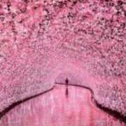 ヒメ日記 2025/04/26 23:50 投稿 つぐみ 成田人妻花壇